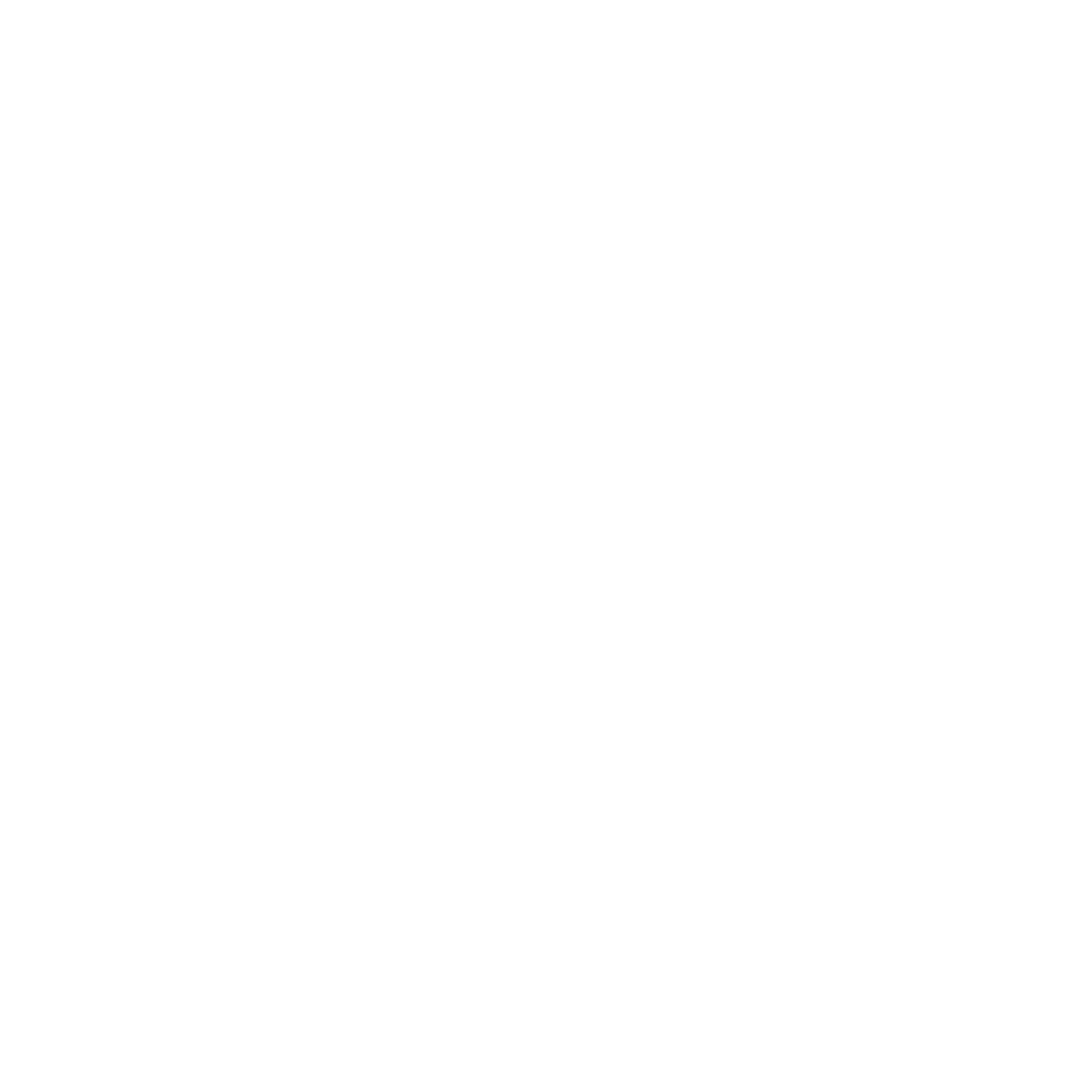 Twins Delivery Logo